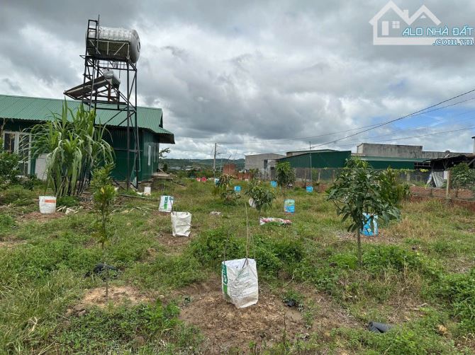 🥰 Bán nhà vườn 2820m2 Tại Đạ Đờn, Lâm Hà Lâm Đồng. - 1