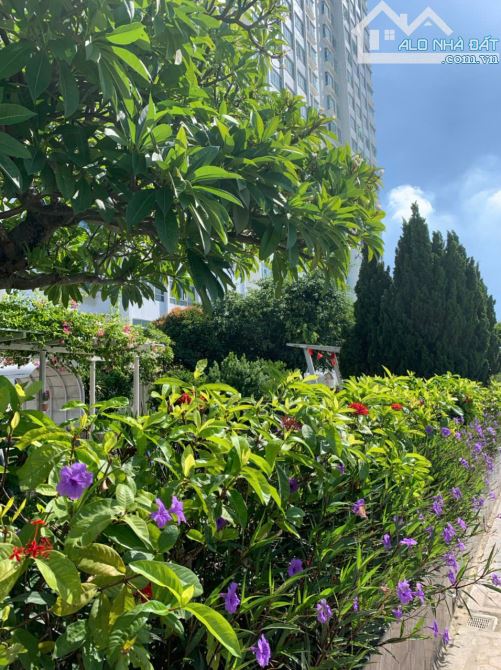 Căn hộ diện tích 110m2, 3PN 4,2 tỷ Hoàng Anh Gia Lai Lake 72 Hàm Nghi - 6