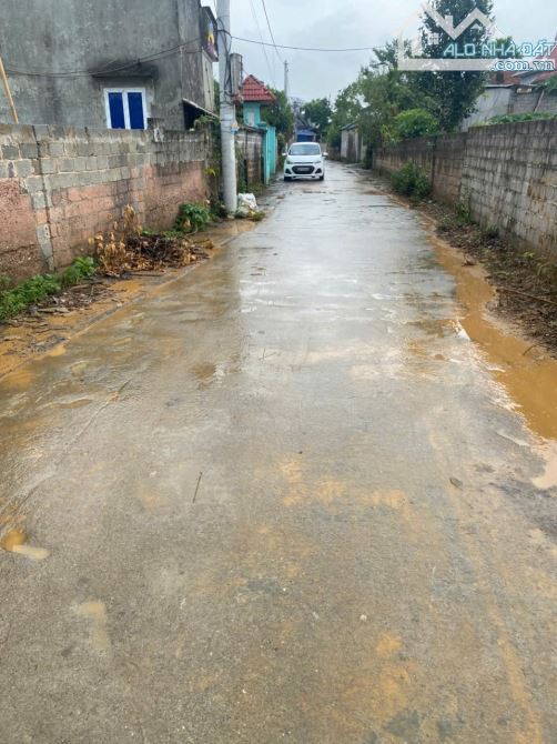 Bán Đất tại thôn Đông Tiến xã Nam Phương Tiến huyện Chương Mỹ Hà Nội - 1