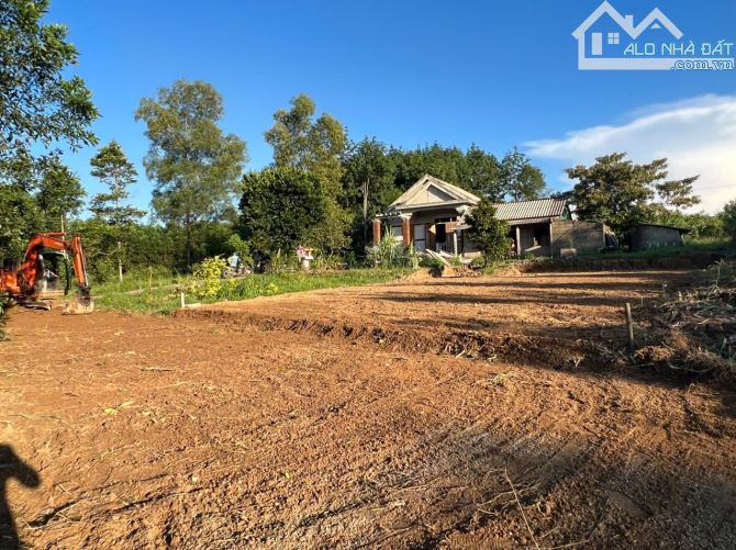 Đông Thái – Phong Mỹ | Gần Trường Tiểu Học – Lô Đất 126m² (ngang 6m) Giá Chỉ 1xx Triệu - 1