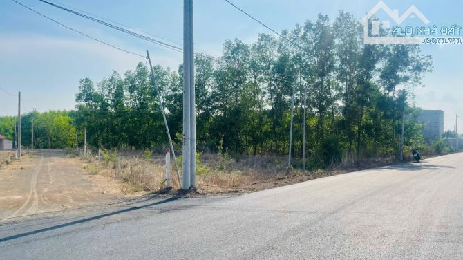 Lô Góc 1042m2 - Đất Đỏ 2.8 Tỷ Diện tích: 1042m2 -100m thổ cư Bám đường nhựa 29m, - 1