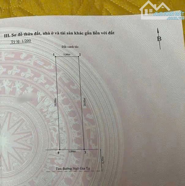 BÁN 200m ĐẤT MẶT ĐƯỜNG NGÔ GIA TỰ NGANG 10 VUÔNG NHƯ BÁNH TRƯNG - 1