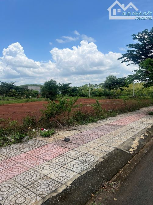 ĐẤT NỀN GIÁ RẺ – BÙ ĐĂNG, BÌNH PHƯỚC - 1