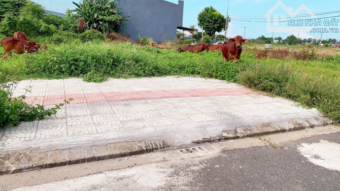 Bán lô đất đối diện dự án lớn kẹp hông 1m Liêm Lạc 24 - 1