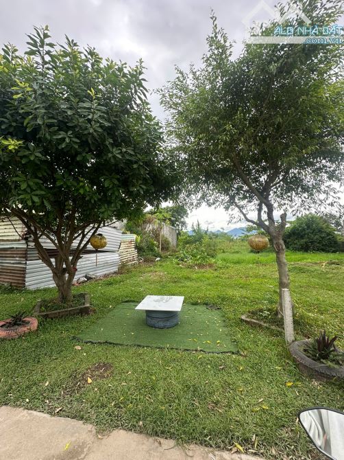 🏆Bán đất đường Đà Sơn 2,dt110m2 Gía 2.4 tỷ tl sập hầm rẻ nhất thị trường - 1