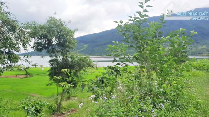Đất Di Linh, đất Kala, 4.292 sào đất nằm trên bán đảo, đường ô tô thể hiện, view cực đẹp. - 1