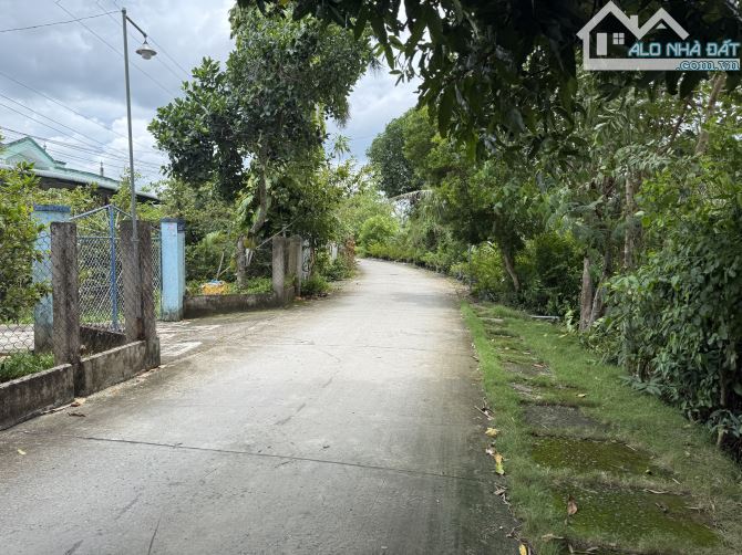 Bán Đất Khóm Thanh Tiến,Phường Mỹ trà, đồng tháp - 1