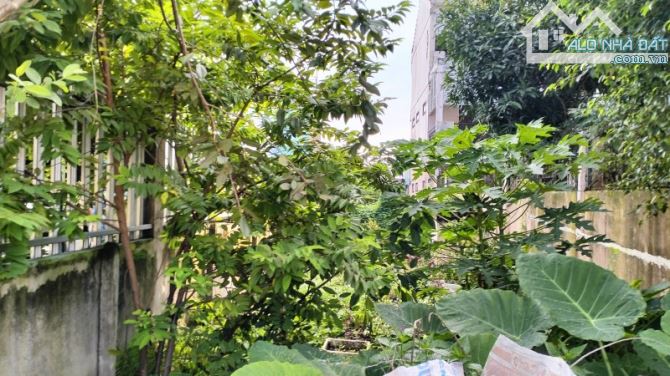 Lô đất đẹp MT Tân Hiệp 8.1 , Hóc Môn , DT165m2 . Giá chỉ 4.7 tỷ (TL) - 1