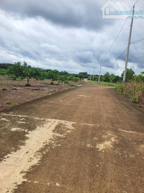 Vườn Mít xã Tân Thành, nay là phường Đồng Xoài - Đồng Nai nằm cách vòng xoay Tỉnh 4km -490 - 1