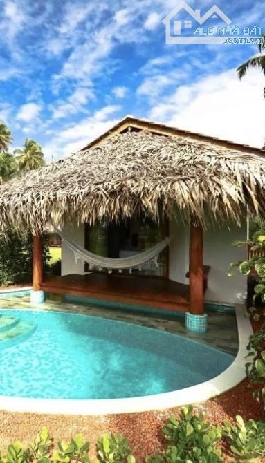 ✨🏡 VILLA MINI HỘI AN – CHIẾC VIEW SIÊU ĐẸP - KHU SINH THÁI RỪNG DỪA ✨ - 1