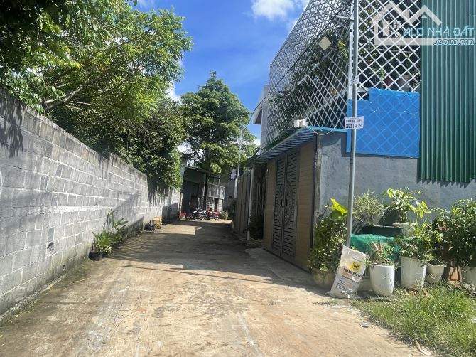 Đất hẻm 24 Lương Thế Vinh phường Tân Tiến BMT - 1