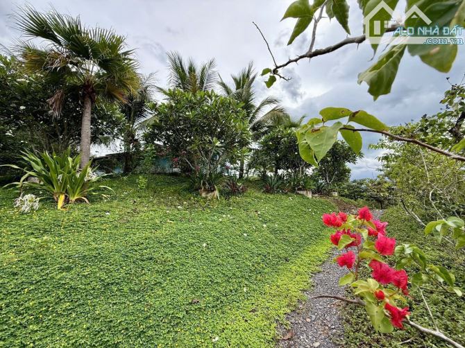 CẦN BÁN GẤP ĐẤT FARM KHÁNH PHÚ – KHÁNH VĨNH CHỈ 2TY8 - 1