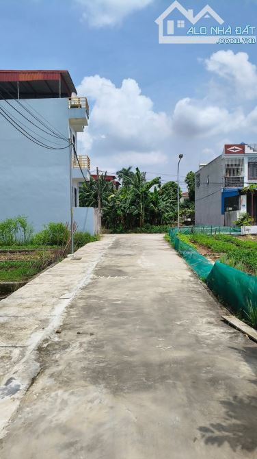 🔥 Bán đất lô góc Mỹ Tranh – Nam Sơn – An Dương, giá chỉ 1,2 tỷ 🔥oto đỗ cửa - 1