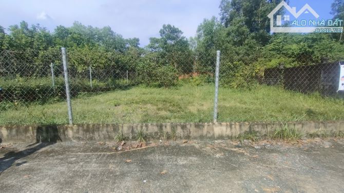 🔥 BÁN ĐẤT 1000M – 160M THỔ CƯ – GIÁ: 7 TỈ 5 – AN PHƯỚC – LONG THÀNH 🔥 - 1