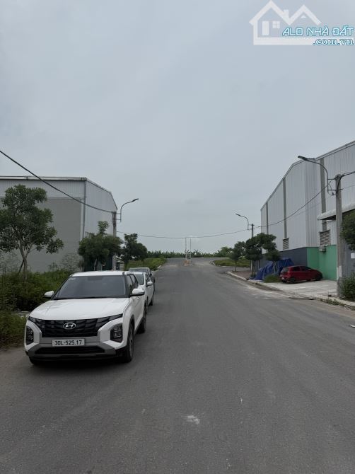 Cho thuê kho xưởng rộng 1000m với khung thép zamil - 1