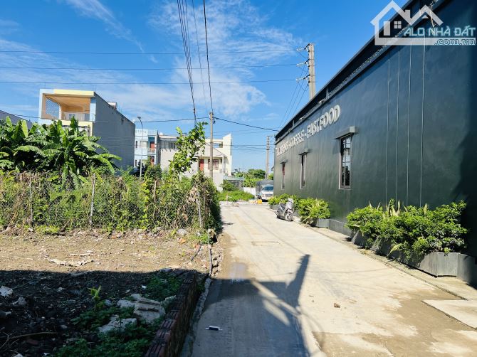 🚗 BÁN ĐẤT NGÕ Ô TÔ – TỔ 6, THỊ TRẤN AN DƯƠNG, HẢI PHÒNG 🚗 - 1