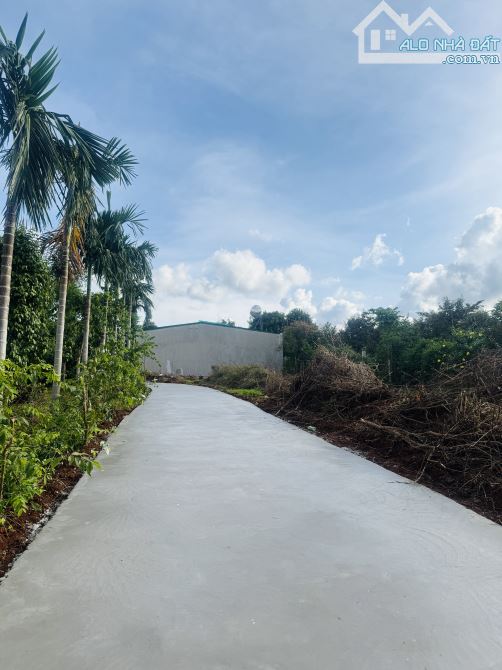 Đất Thổ cư đường 26A Đạt Lý 45x11m view cực đẹp 1,85 tỷ (tl) - 1