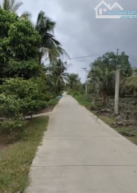 Bán Đất Ruộng 39 Triệu 1 Công - 1
