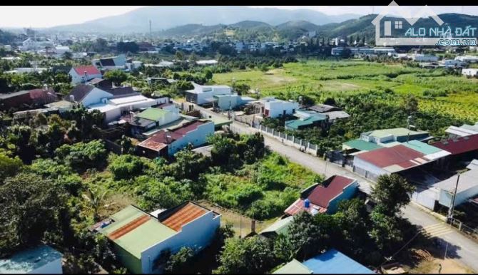 🔥RẺ NHẤT! Bán đất mặt tiền Nguyễn Thiện Thuật, phường 3  Bảo Lộc - 1