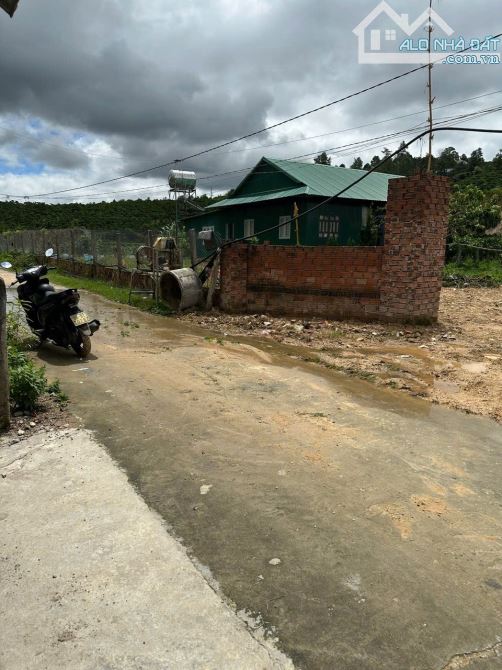 🥰 Bán nhà vườn 2820m2 Tại Đạ Đờn, Lâm Hà Lâm Đồng. - 13