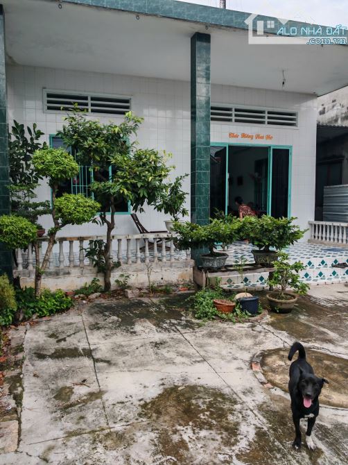 Chính chủ bán nhà mt 9m, 300m Thổ cư, kinh doanh tốt - chỉ 5 tỷ - 13