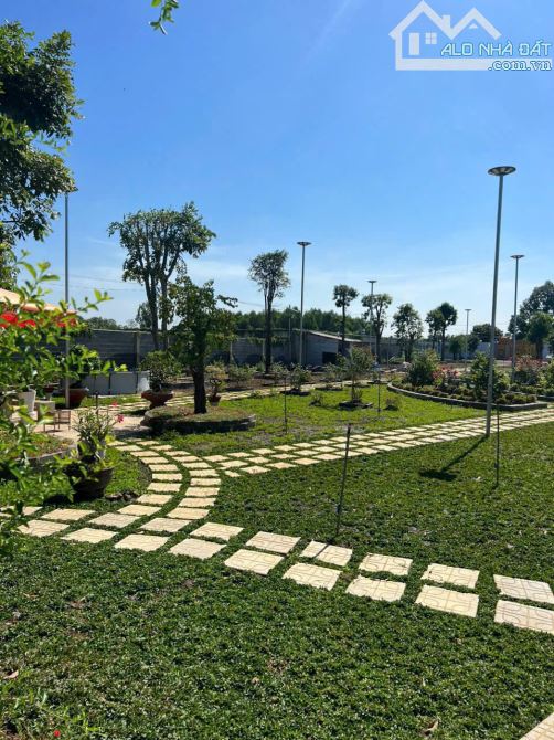 View nghỉ dưỡng bờ sông Đồng Nai .3500m2. View thiết kế bài bảng Sang Trọng - 14