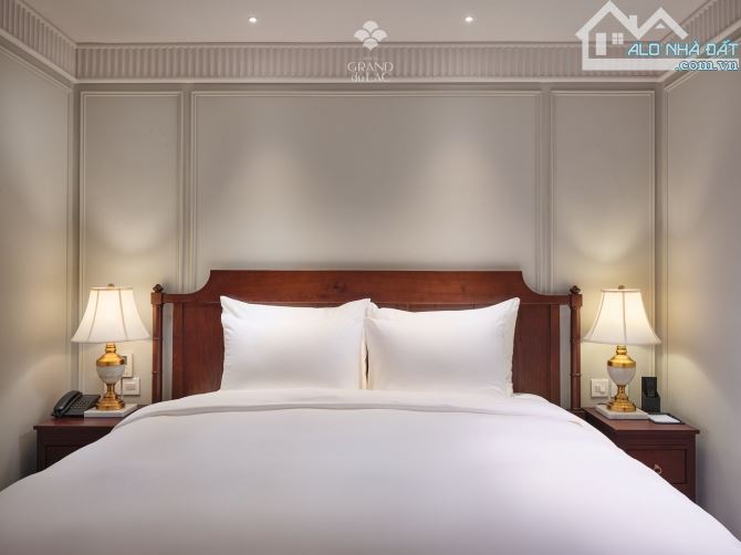 Bán Khách Sạn Hàng Bông 540m2 x 12 Tầng 2 Hầm 130 Phòng 5 Sao Giá Tốt - 17