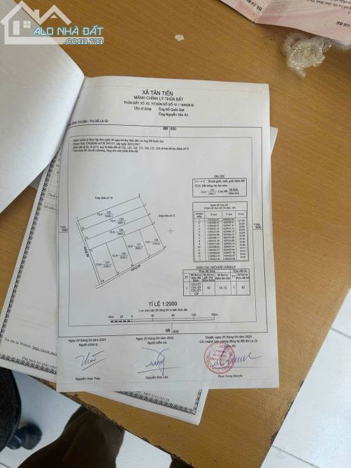 CHÍNH CHỦ CẦN BÁN 5 MẢNH ĐẤT Ở TẠI TAM TÂN, THỊ XÃ LA GI, BÌNH THUẬN