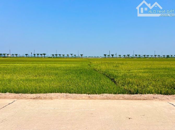 BÁN ĐẤT KQH TRIỀU THUỶ VIEW RUỘNG THOÁNG GIÁ TỐT 12,X TRIỆU/M2 - 2