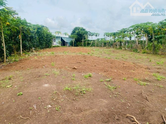 Bán Đất Trung Tâm TT Đất Đỏ , Ngang 12 Sâu 39 , Sẵn 120 Thổ Cư Giá Chỉ 1.750 Tỷ - 2