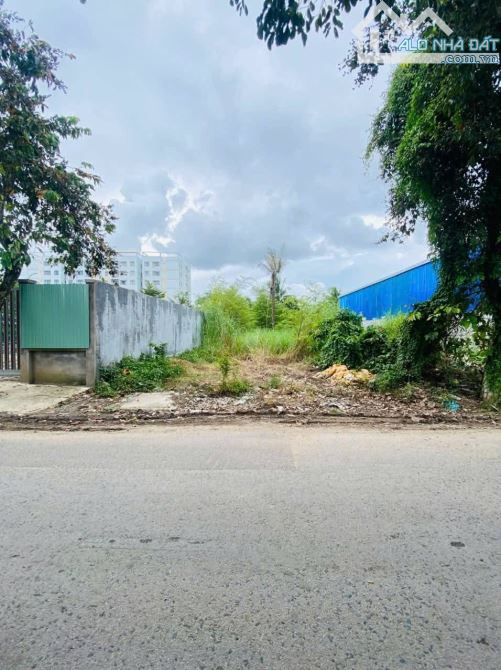 Bán 361 Đất Thổ Cư Mặt Tiền Lê Hồng Nhi - Cái Răng - 2