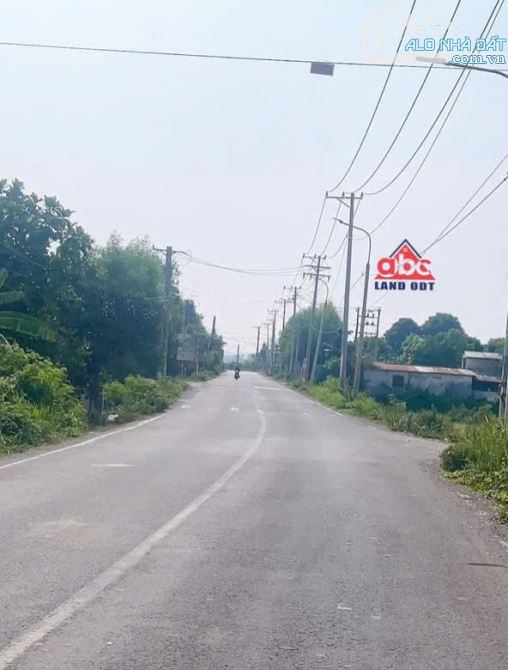 D175 Bán Quỹ Đất phù hợp Xây Dựng nhà xưởng với diện tích : 35.000m2. thuộc xã Tân An - Vĩ - 2