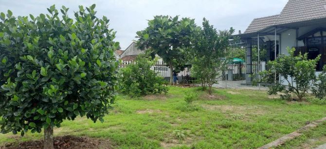 Căn biệt thự vườn tại thôn 2 xã Diên Đồng, căn góc 2 mặt tiền đường lớn, cạnh Ủy ban - 2