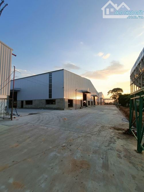 Cho Thuê 6.000m2 Nhà Xưởng Gần KCN Nam Tân Uyên BD PCCC Tự Động - 2