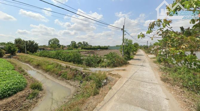 Bán đất vườn đường T11, Tân Quý Tây, Bình Chánh - 2