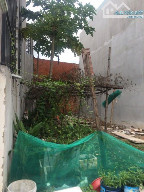 Lô Đất Đẹp 5m Ngang – KDC Tứ Hải, Sát Trường Học – Chỉ 2,5 Tỷ - 2