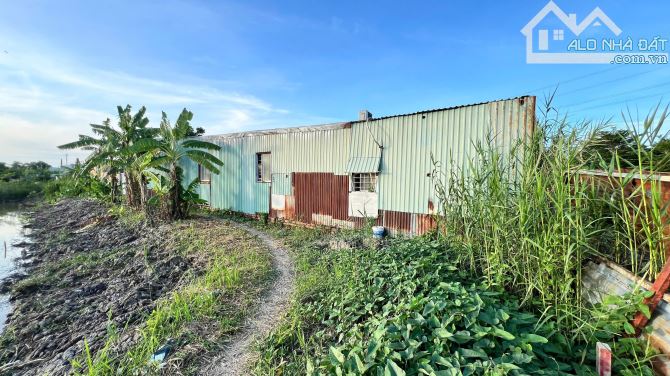 Bán 187m2 Đất lúa - Đường xe hơi - Quy hoạch siêu đẹp - 2