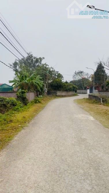 CẦN BÁN HẠ GIÁ LÔ ĐẤT TẠI LƯƠNG SƠN HÒA BÌNH - 2