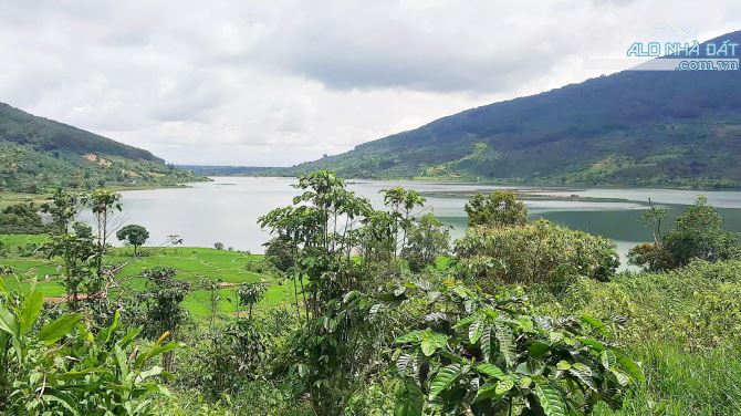Đất Di Linh, đất Kala, 4.292 sào đất nằm trên bán đảo, đường ô tô thể hiện, view cực đẹp. - 2