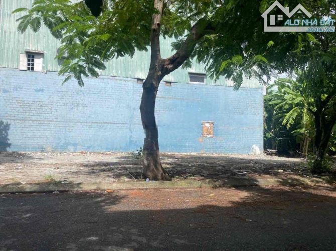 Bán đất 2 mặt tiền đường Nguyễn Văn Tỵ, Hòa Phước, Hòa Vang. 154.6m2 ngang 8m. Giá 6.3 tỷ - 2