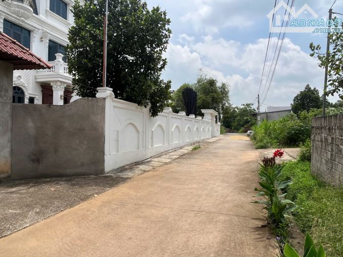 Bán Đất Chính Chủ Khu Công nghiệp Tam Dương - 2