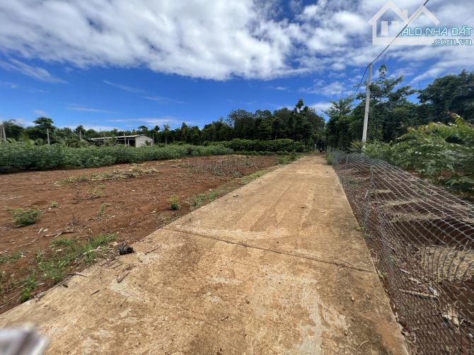 975m2 ĐẤT BIỂN 100% THỔ CƯ, 2 MẶT TIỀN, CỬA TÙNG - QUẢNG TRỊ - 2