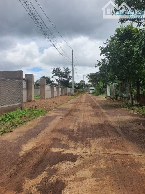 Vườn Mít xã Tân Thành, nay là phường Đồng Xoài - Đồng Nai nằm cách vòng xoay Tỉnh 4km -490 - 2