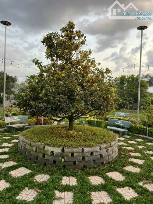 View nghỉ dưỡng bờ sông Đồng Nai .3500m2. View thiết kế bài bảng Sang Trọng - 2