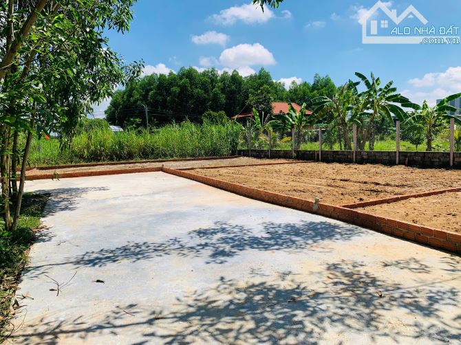 BÁN LÔ ĐẤT 2 LÔ LIỀN KỀ  SÁT TRỤC NAM KỲ KHỞI NGHĨA - 2