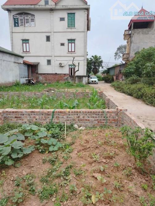 ❌❌❌Ban nhanh 42.6m2 đất Mai Lâm, Đông Anh. Mặt tiền = hậu 4,5m vuông vắn. - 2