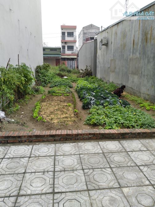 Bán đất đấu giá Phúc Lợi, Long Biên 75m mt5.5m vỉa hè KD ô tô tránh giá 17tỷ - 2