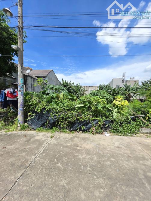 3,35Tỷ TL🔥Bán đất 109,4m2 gần chợ đường Đoàn Thị Kia 200m, p.Tân Đông Hiệp, Tp.Dĩ An - 2