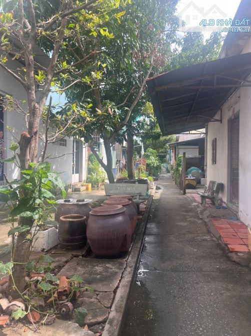 Bán nhà có sẵn vườn trồng cây và cây ăn trái hẻm 360 Phạm Hữu Lầu nhà bè - 2