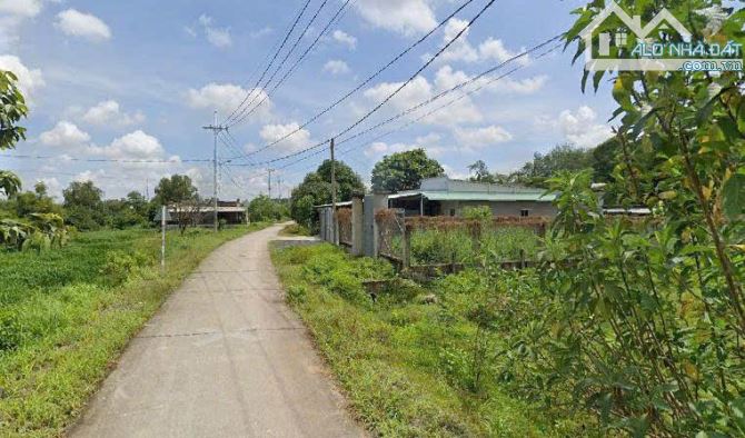 Cần bán lô đất 219m2 giá 800 triệu đường Nguyễn Thị Tấm, Phước Thạnh, Củ Chi - 2